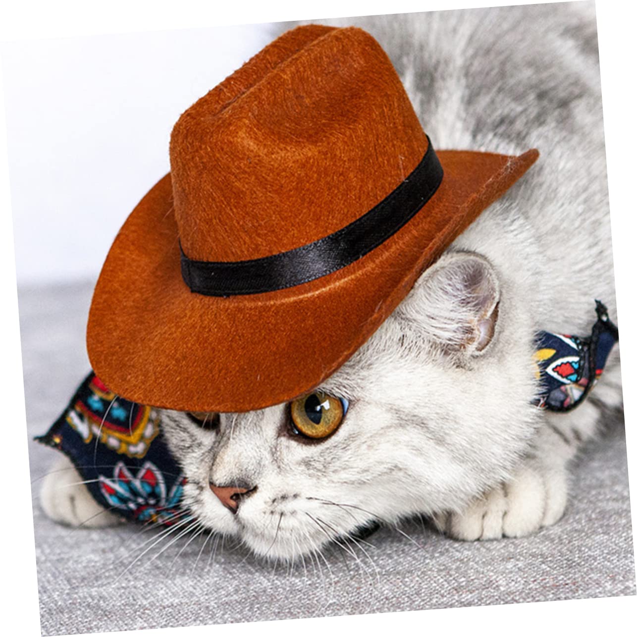 POPETPOP 5pièces Chapeau pour Animaux avec Bandana Accessoire Vintage pour Chiens Et Chats Costume Festif pour Photos Et Événements