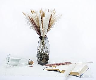 80 pcs Natural Dried Pampas Grass Decor - 17.5" Fluffy Pampas Grass in 15 White & 15 Brown with 30 Reed Grass & 20 Bunny T...