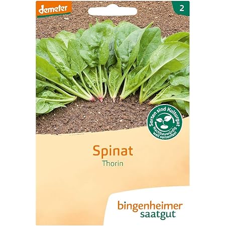 Bingenheimer Saatgut Spinat Thorin demeter bio für 10-12 m²