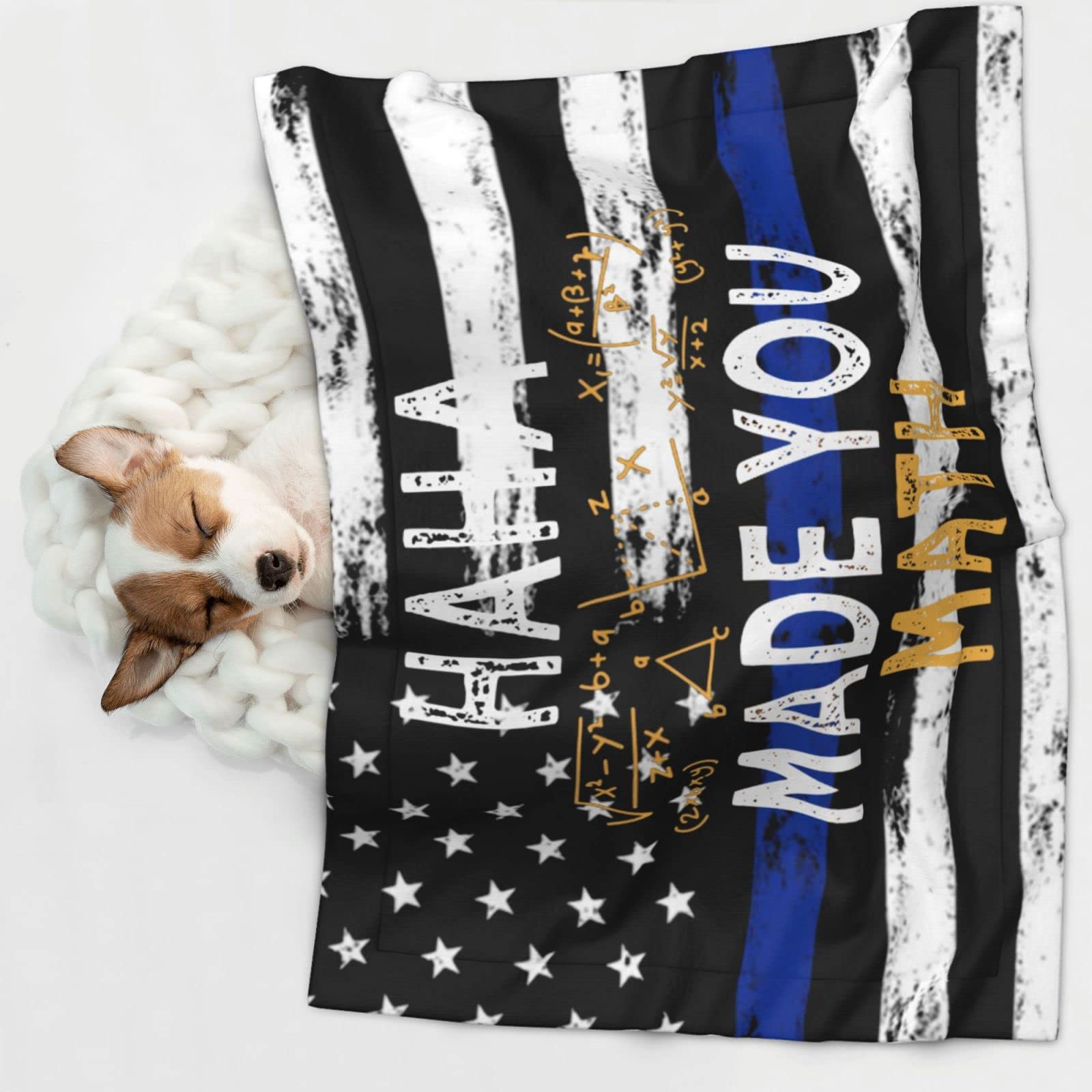 Made You Math Teacher Math Soft and Cozy Pet Blanket for Dogs and Cats - Versatile and Comfortable Medium