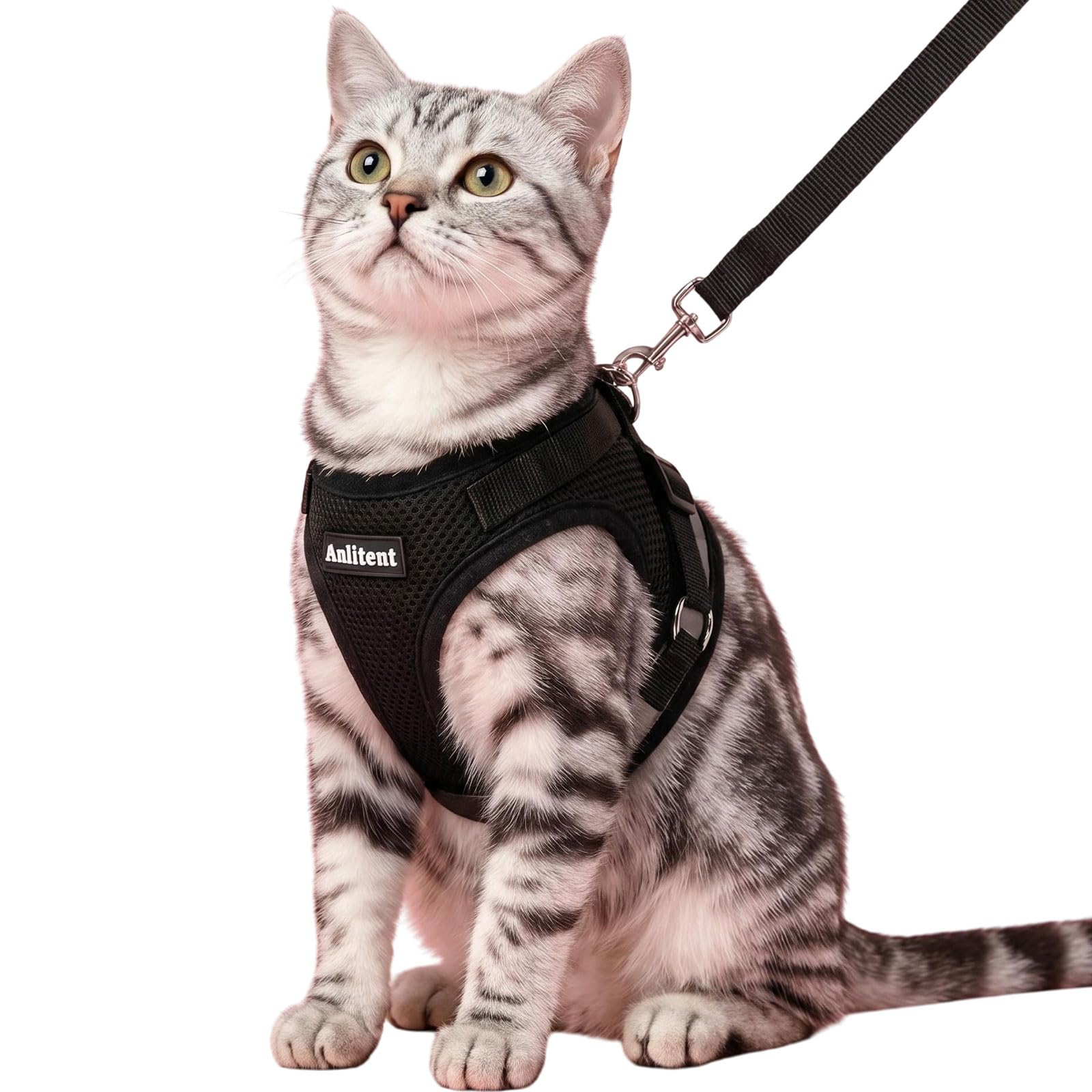 AnlitentCat Harness and Lead Set for Cats/Puppy, Small -1.5-3kg