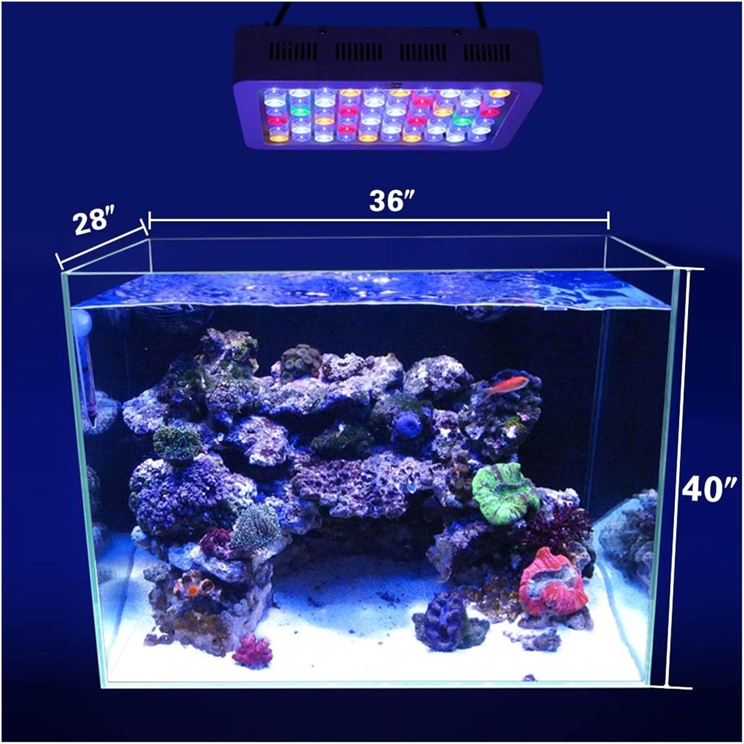 名作オンパレード！休日が一瞬で終わるDVDまとめ売り 日本映画 NHK 朝ドラ