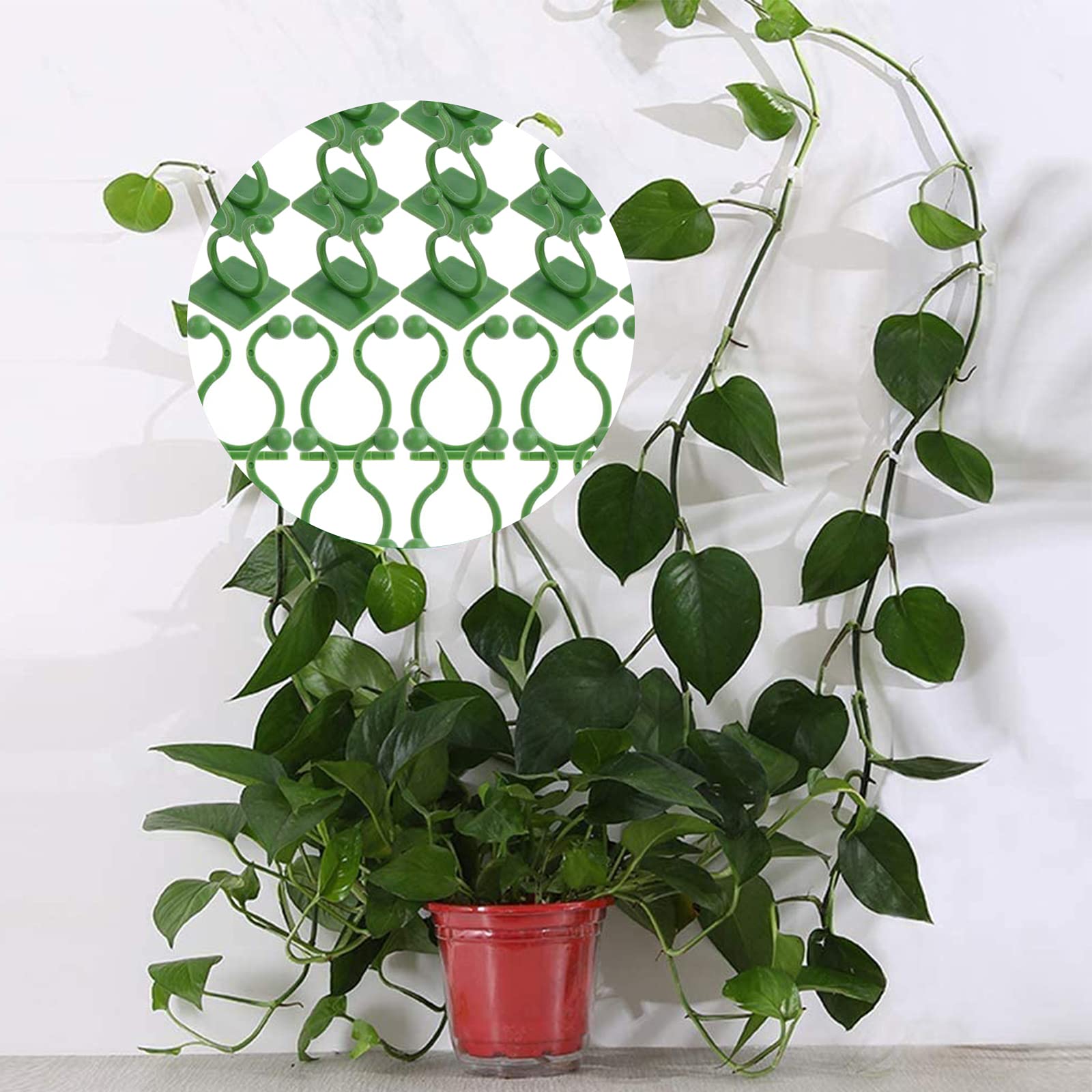 Plantenclips voor Muur - 40 stuks - Klimplanten Ondersteuning