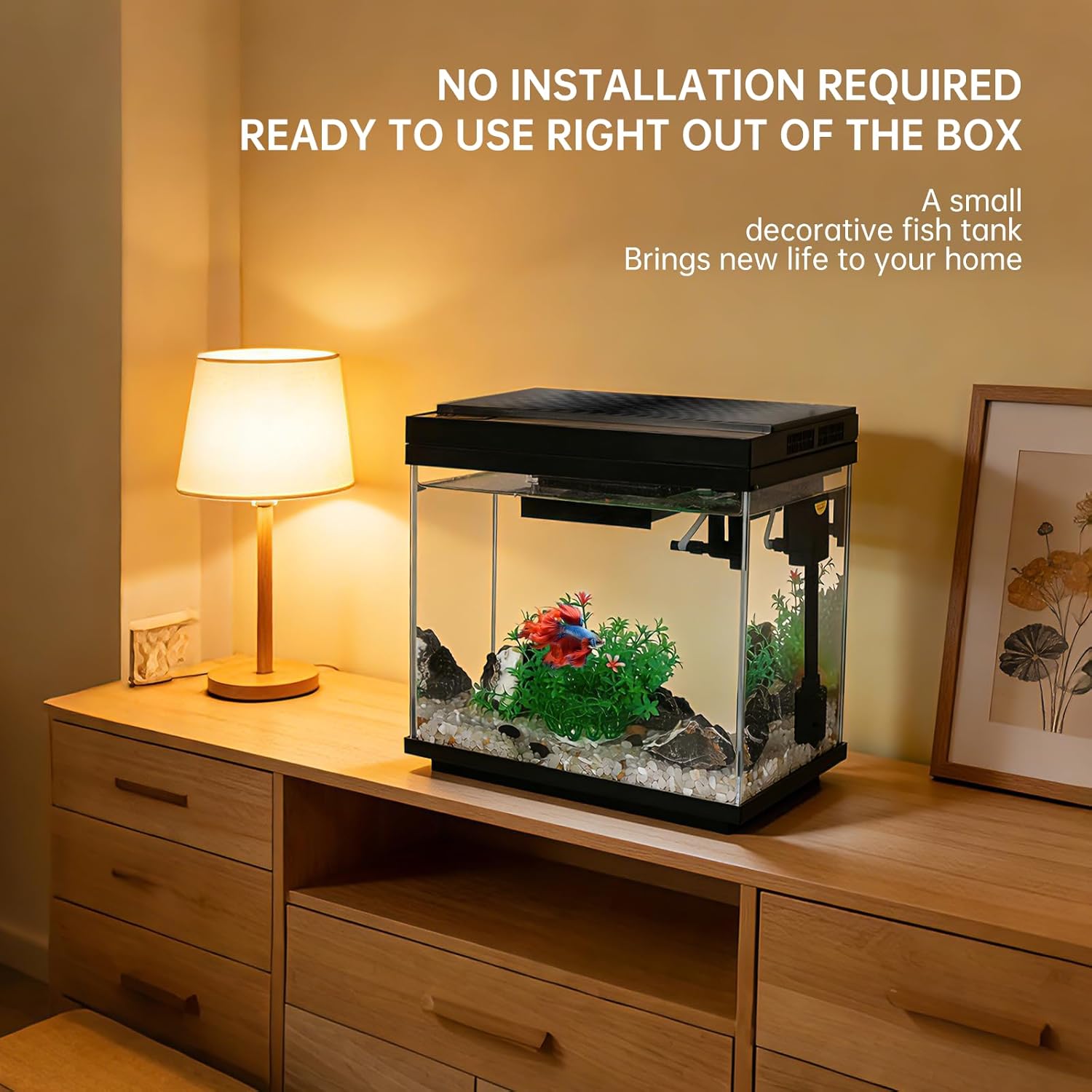 FS&AQ 3 Gallon Fish Tank with Filter and Light No-Install Small Aquarium Starter Kit