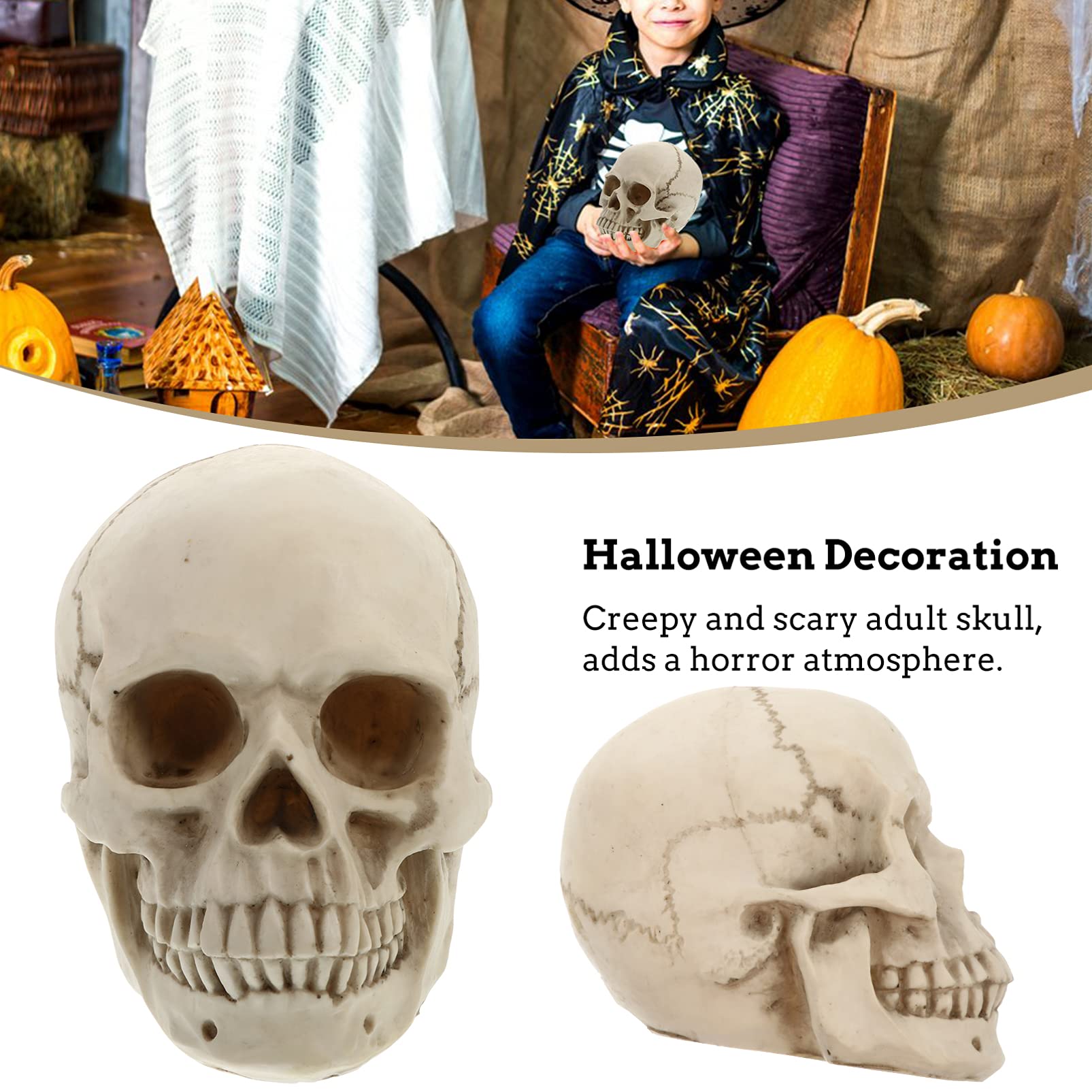 Tomaibaby 1 Pc Cráneo De Resina Esqueleto Decoración De Halloween Apoyo De Copia De Arte Modelo De Cráneo Humano Cráneo Humano De Resina Víspera De Todos Los Santos Estatua Niño