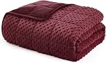 L'AGRATY Weighted Blanket - 40"x60" 10lbs Breathable Weighted Heavy Blanket Microfiber Material with Glass Beads or All-Season Summer Fall Winter
