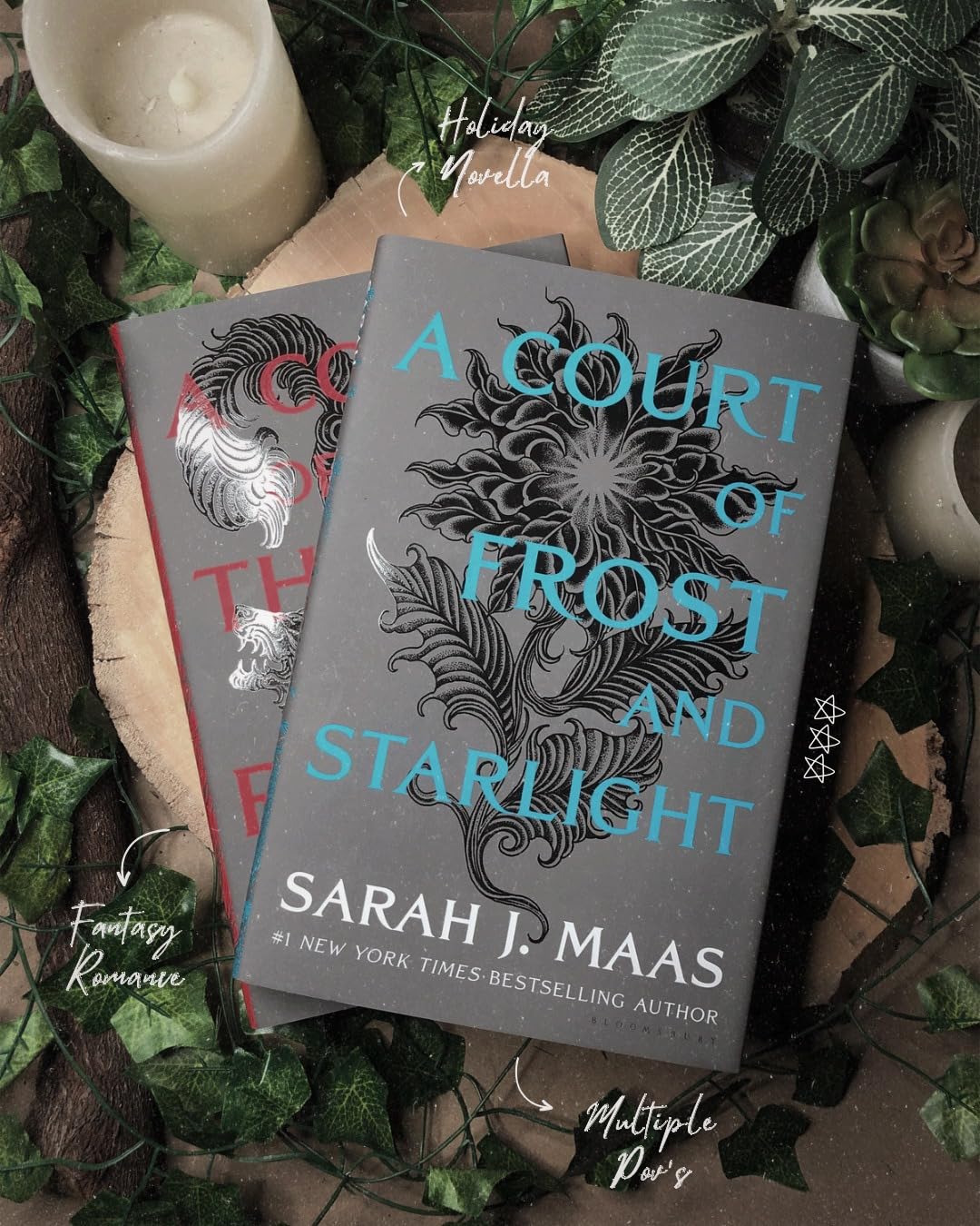 A Court of Frost and Starlight An unmissable companion tale