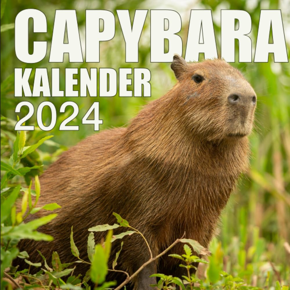 Capybara Kalender 2024: Großer Foto-Kunstkalender mit Capybara. PhotoArt Kalender im Hochformat. 22 x 22 cm (German Edition)