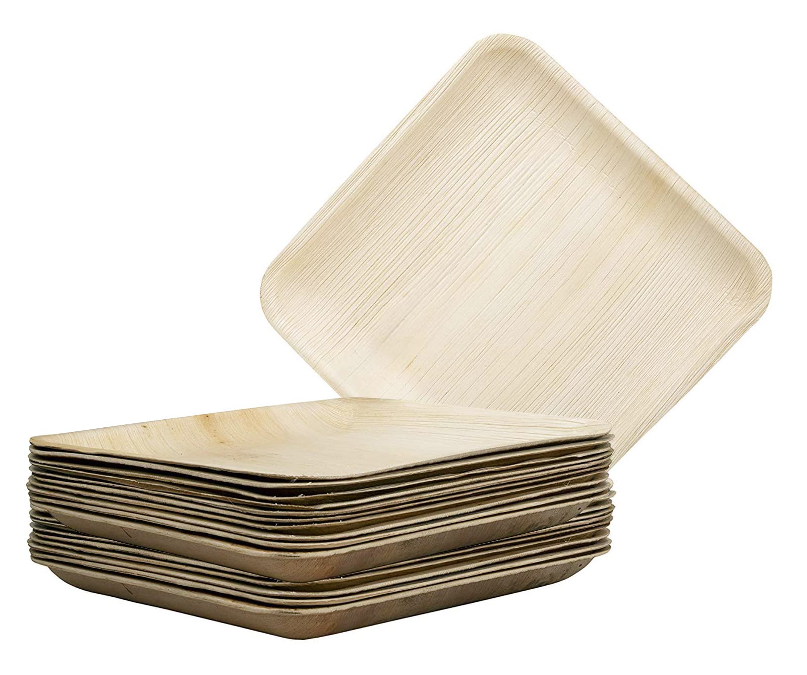 ECOPALDisposable Dinnerware Plates (10x10in, 25.5cmx25.5cm, Pack of 20)