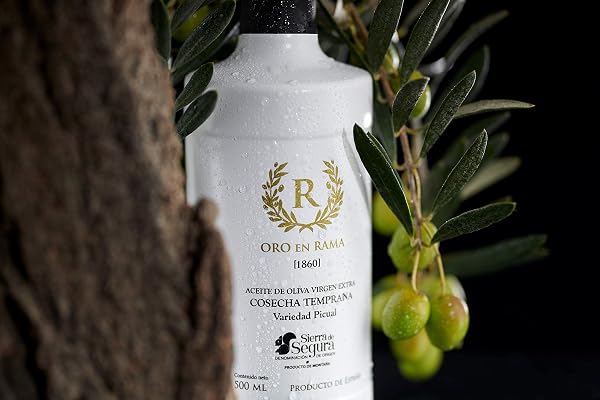 ORO EN RAMA | Extra Virgin Olive Oil Picual de Jaén | NEW HARVEST 25/26 | Best Early Harvest Green EVOO Prize | DOP Sierra de Segura | Intense fruity flavor - 4