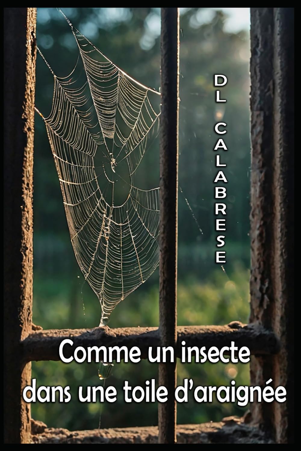 Comme un insecte dans une toile d'araignée