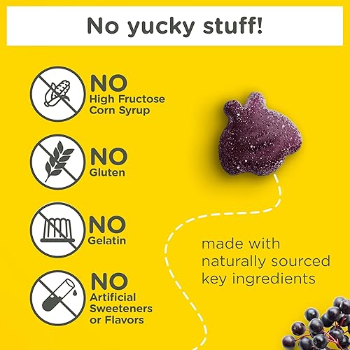 Miniatura 2 de ZarbeeS Gomitas de saúco para niños apoyo inmunológico con Vit C y zinc gomitas de vitaminas diarias para niños sabor a bayas naturales 42 unidades