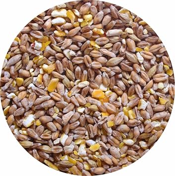 Mixed Corn Poultry Food Chicken Feed 10kg 5kg 3kg 2kg 1.8kg 700g 500g Chickens Ducks Geese Etc 1kg