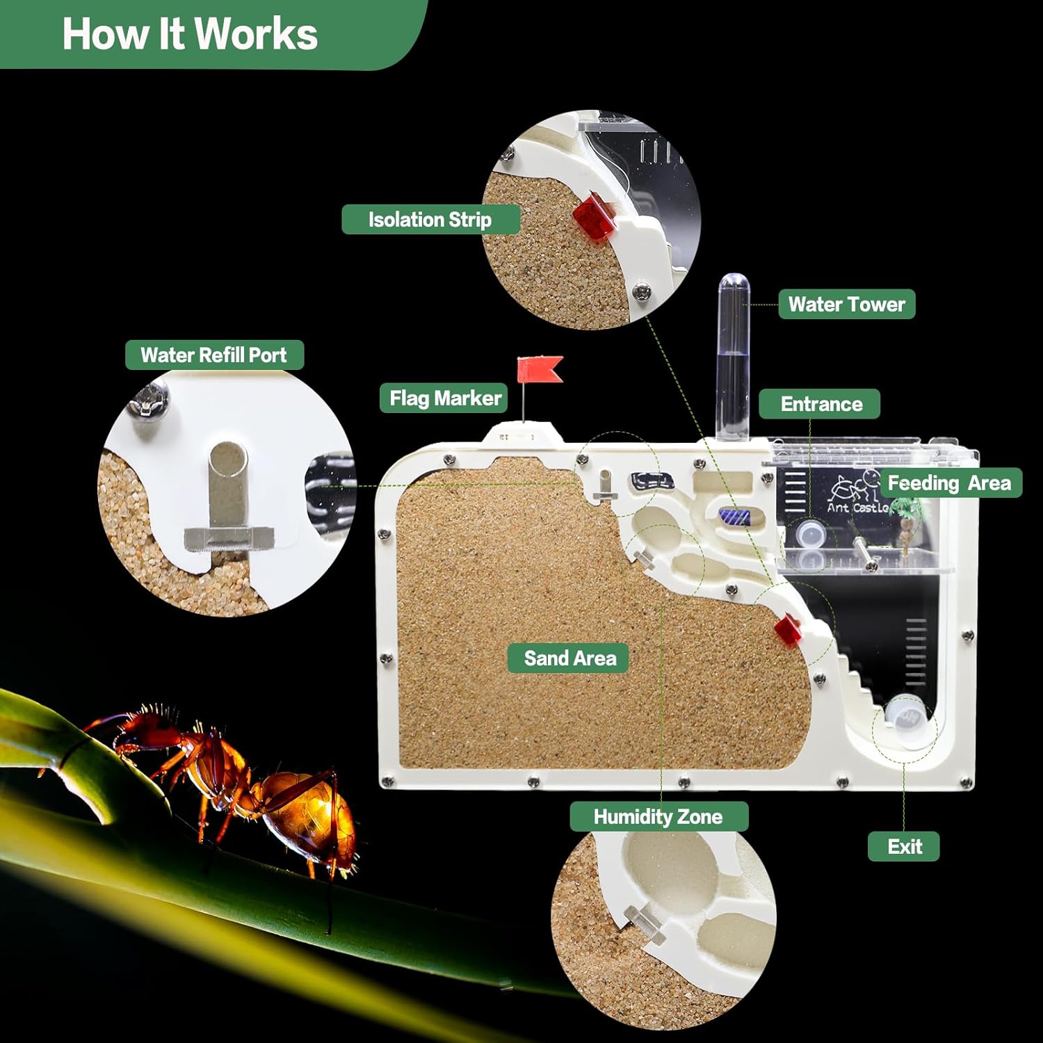 Ant Farm Castle - Ant Farms for Kids with Yellow Sand Complete Tool Kit, Live Ants Habitat Science Kit - Great Gift for Boys, Girls and Student