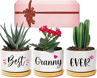 AceThrills Granny Gifts for Birthday, for Granny from Grandkids, Unique Present on Thanksgiving Christmas - 3 Pcs 3.15" Succulent Pots with Bamboo Tray