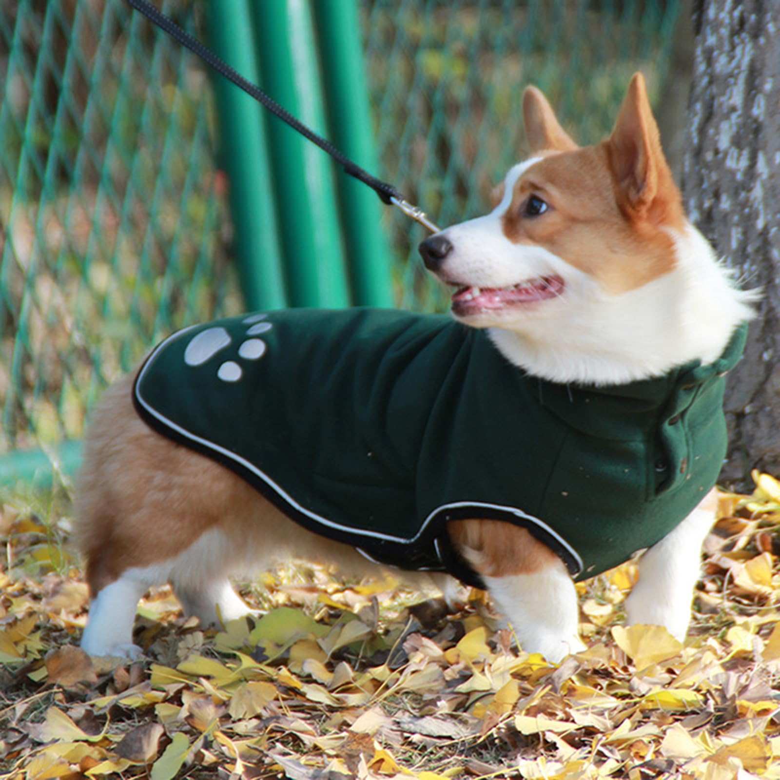 Vestiti per cani Media Size Abbigliamento per cani Pet Cold Weather Giacche Pet Fashion Gilet per passeggiate serali