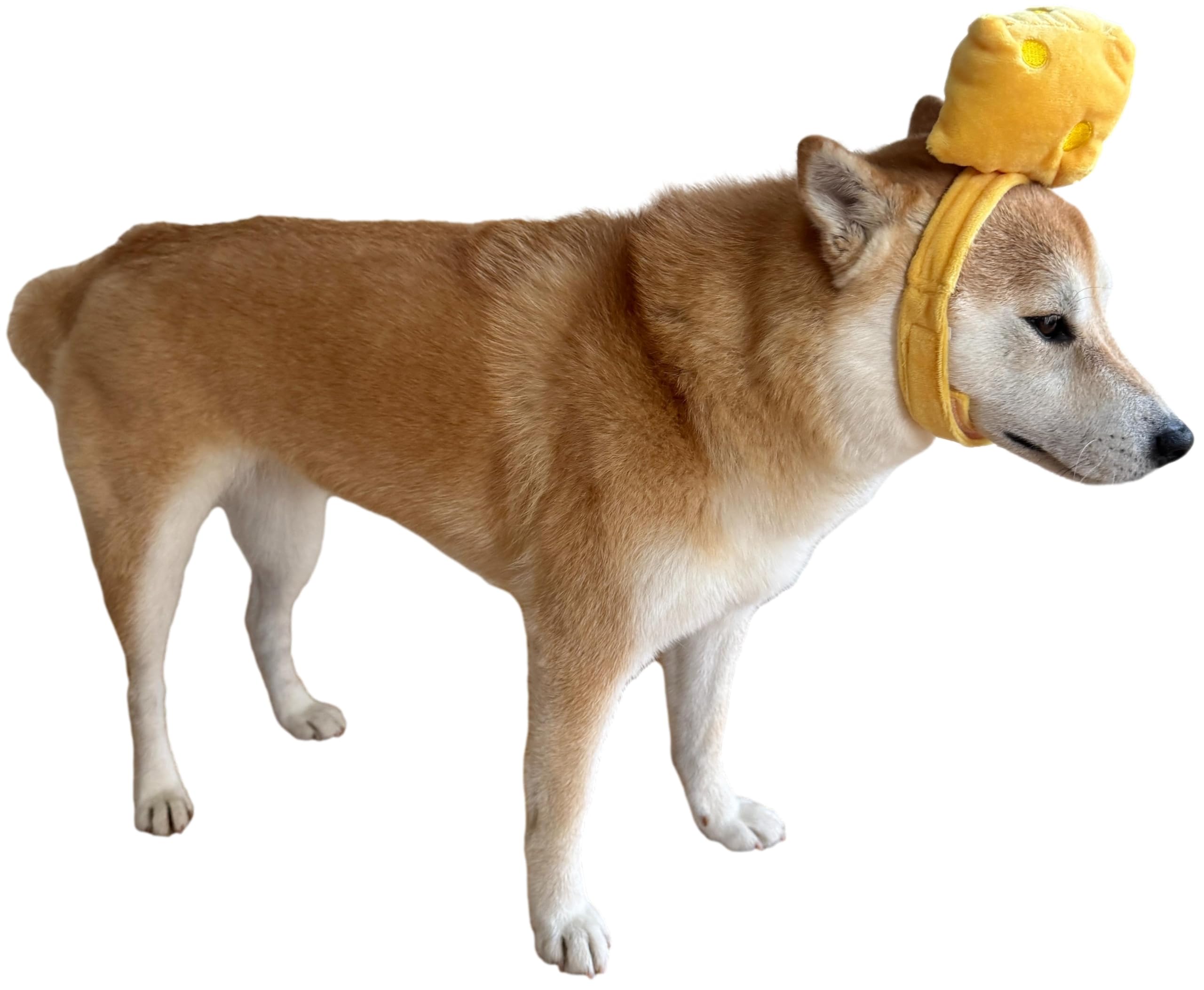 CheetahBoo Disfraz de queso amarillo para perros franceses, talla XS XXL, sombrero de comida, disfraz de Halloween, talla S