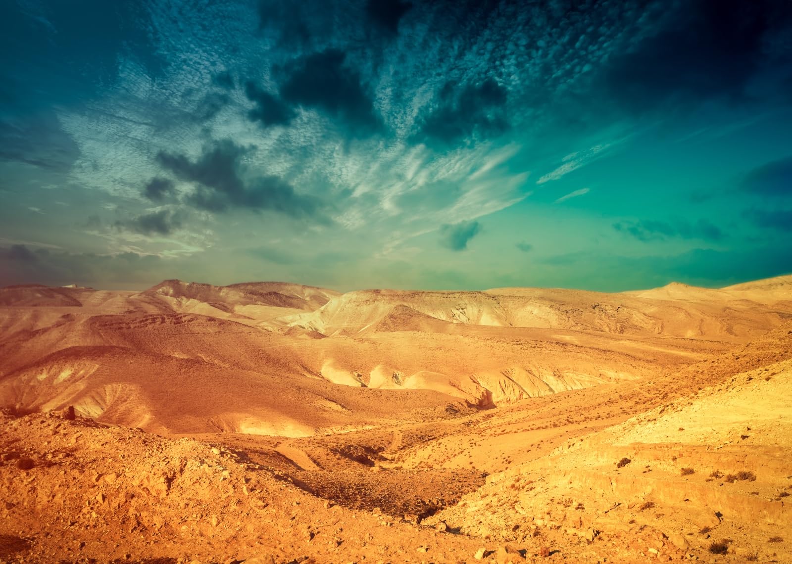 8x8FT (2.5x2.5m) Montagne Dorate Del Deserto Sfondo Fotografico