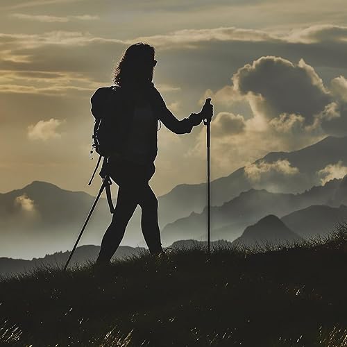 Miniatura 9 de Fizan Compact 4