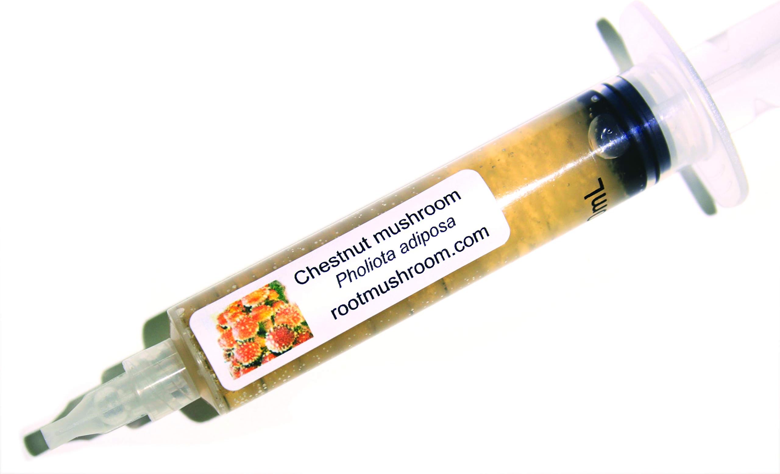 Root Mushroom Farm-Mushroom Liquid Cultures/Chestnut Muhsroom(Pholiota adiposa)