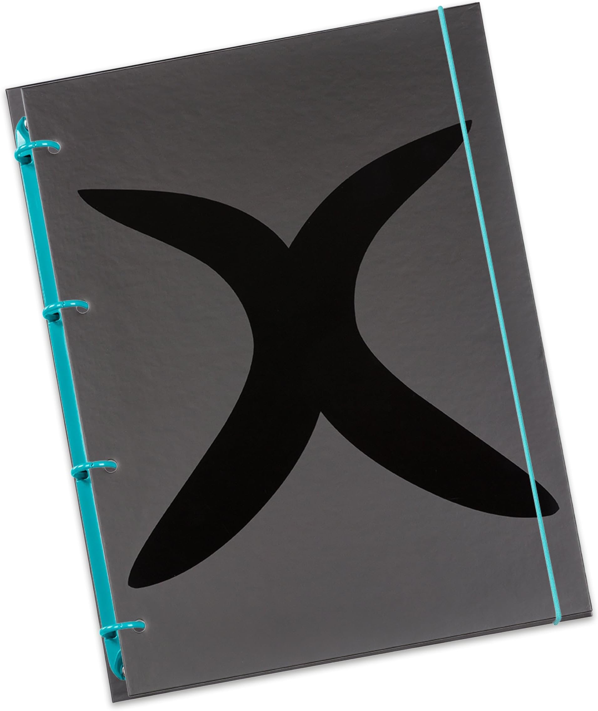 flexiNotes A4 notebook, type: X-black, turquoise, 125 sheets, squared - ring M