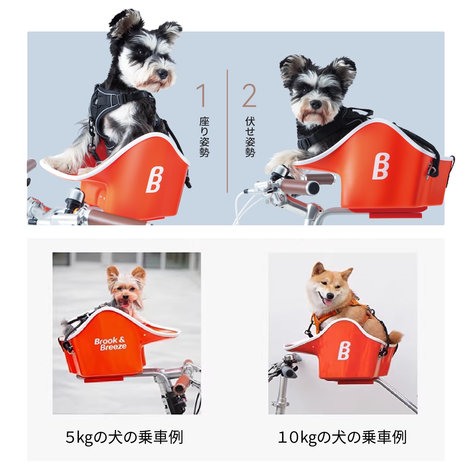 Amazon.co.jp: Brook & Breeze Canine Copilot コパイロット 自転車用
