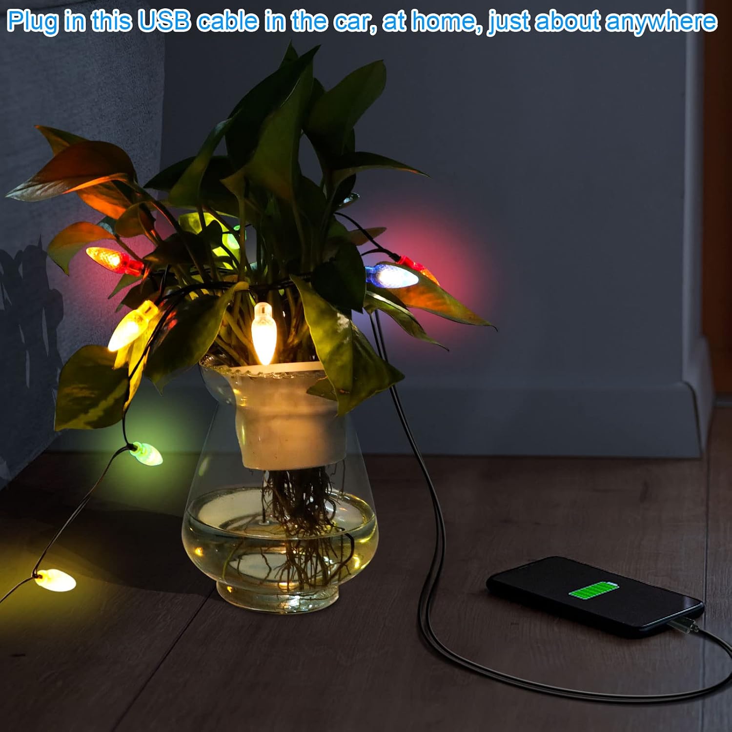 2 Pack LED Christmas Lights Charging Cable,USB and Bulb Charger,50inch 10led Multicolor Available with Phone 5,5s,6,6plus,6s,6s Plus,7,7plus,8,8plus,X,XR,XS,XS Max,11Pro Max, 12 Pro max