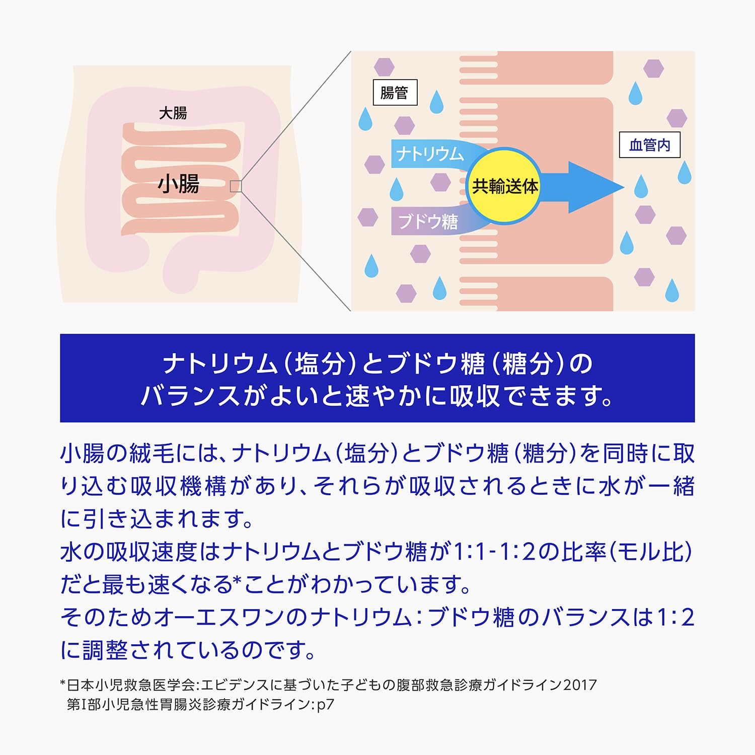 Amazon | 大塚製薬工場 経口補水液 オーエスワン ペットボトル 300mL