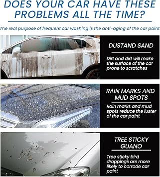 2PCS Rapid Ceramic Coating Spray Hydrophobic,Advanced Quick-Acting Coating Agent Spray,3 in 1 High Protection Quick Effect Coating Agent,Car Renewal Wax for shine and protection (2 * 120ml) 