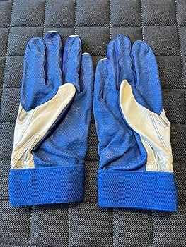 Amazon | 元中日ドラゴンズ岩崎達郎選手バッティンググローブ Amazon | 元中日ドラゴンズ岩崎達郎選手バッティンググローブ