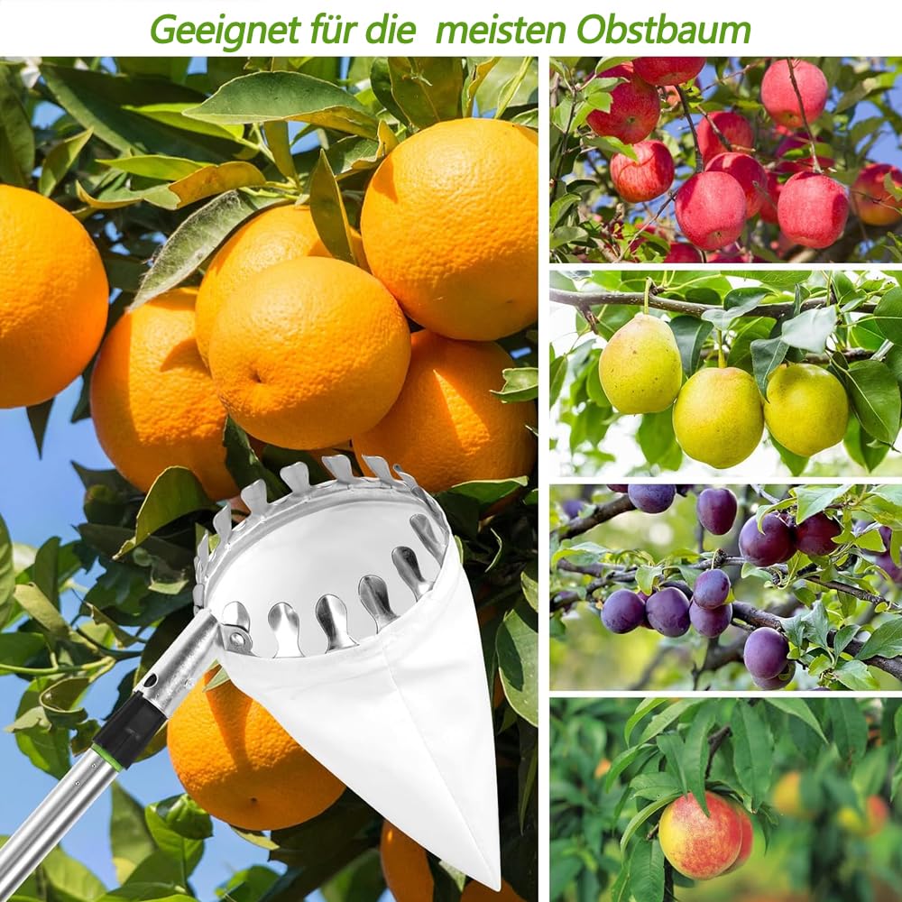 PASLFC 4.2m Obstpflücker mit Teleskopstiel Apfelpflücker Obstpflücker für Kirschen Kirschenpflücker mit Teleskopstiel Kirschpflücker mit Teleskopstiel Zitrus Birnen Kirschen Pflücker Pflaumenpflücker