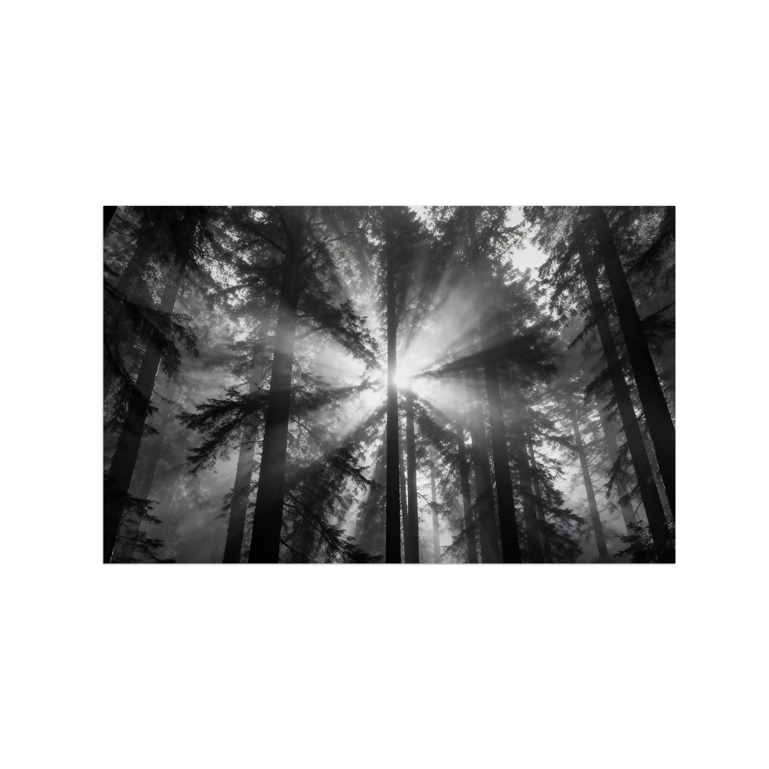 OZPWBVY Black and White Landscape Print Painting-Forest Tree Sunshine 6-Minimalist Canvas Wall Art Picture for Home Decor 16x26in 40x65cm Unframed