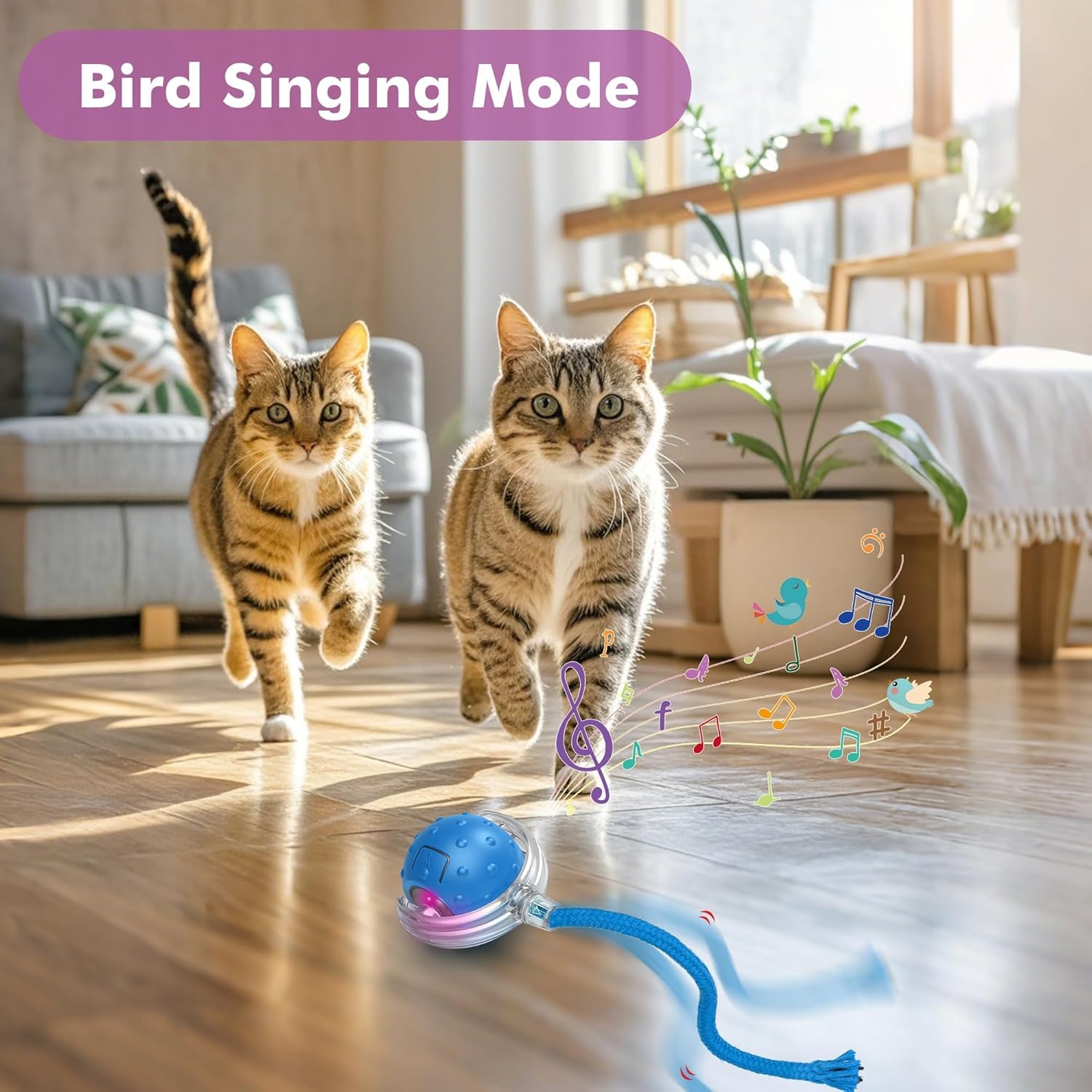 Katzenspielzeug Selbstbeschäftigung Ball, Interaktives Katzenspielzeug Elektrisch mit Schwanz & Vogelgeräusch, Automatischer Katzenspielzeug Ball für Katzen, USB Wiederaufladbares (Blau)