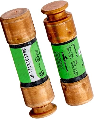 Bussman BPFRN-R-30 Fusible de retardo de tiempo de 30 amperios y 250 voltios, 2 unidades