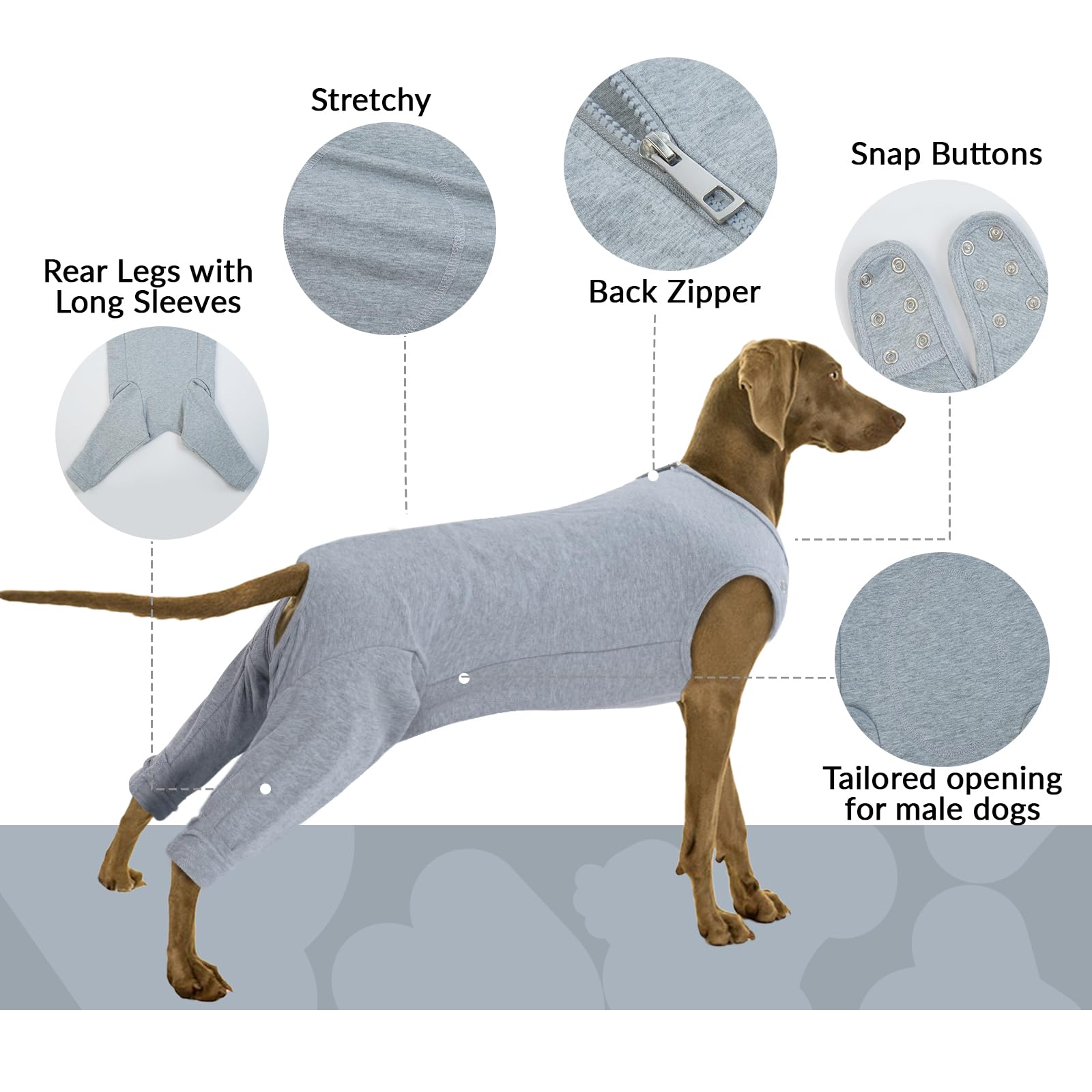 Dog Post Surgery Body Suit - Image 4