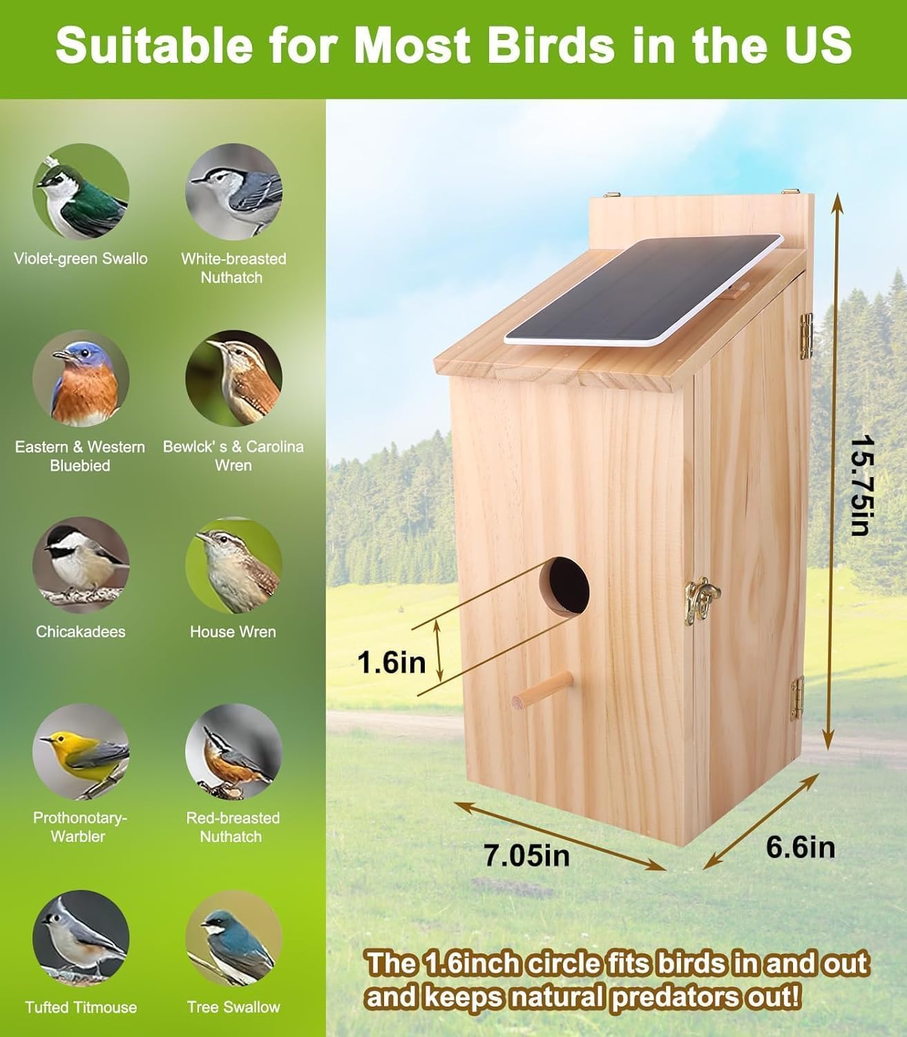 Smart Vogelhaus mit Kamera, 1080P HD Kabelloses Vogelhaus für draußen mit Nest Auto Capture Foto & Video, solarbetrieben 2.4G WiFi & App Benachrichtigung 32G SD-Karte Wasserdichtes Holz Vogelhaus