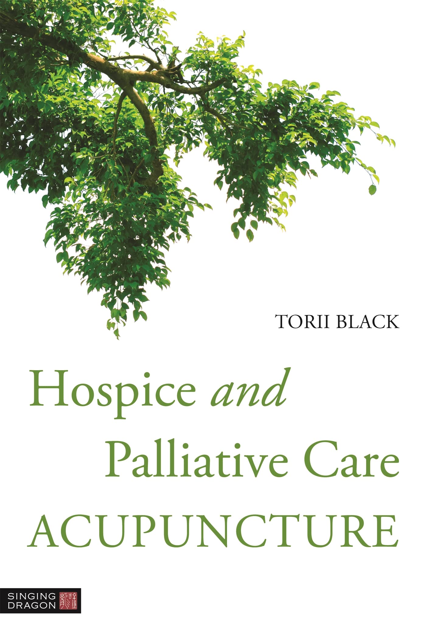 Hospice and Palliative Care Acupuncture by Torii Black (Paperback Book)
