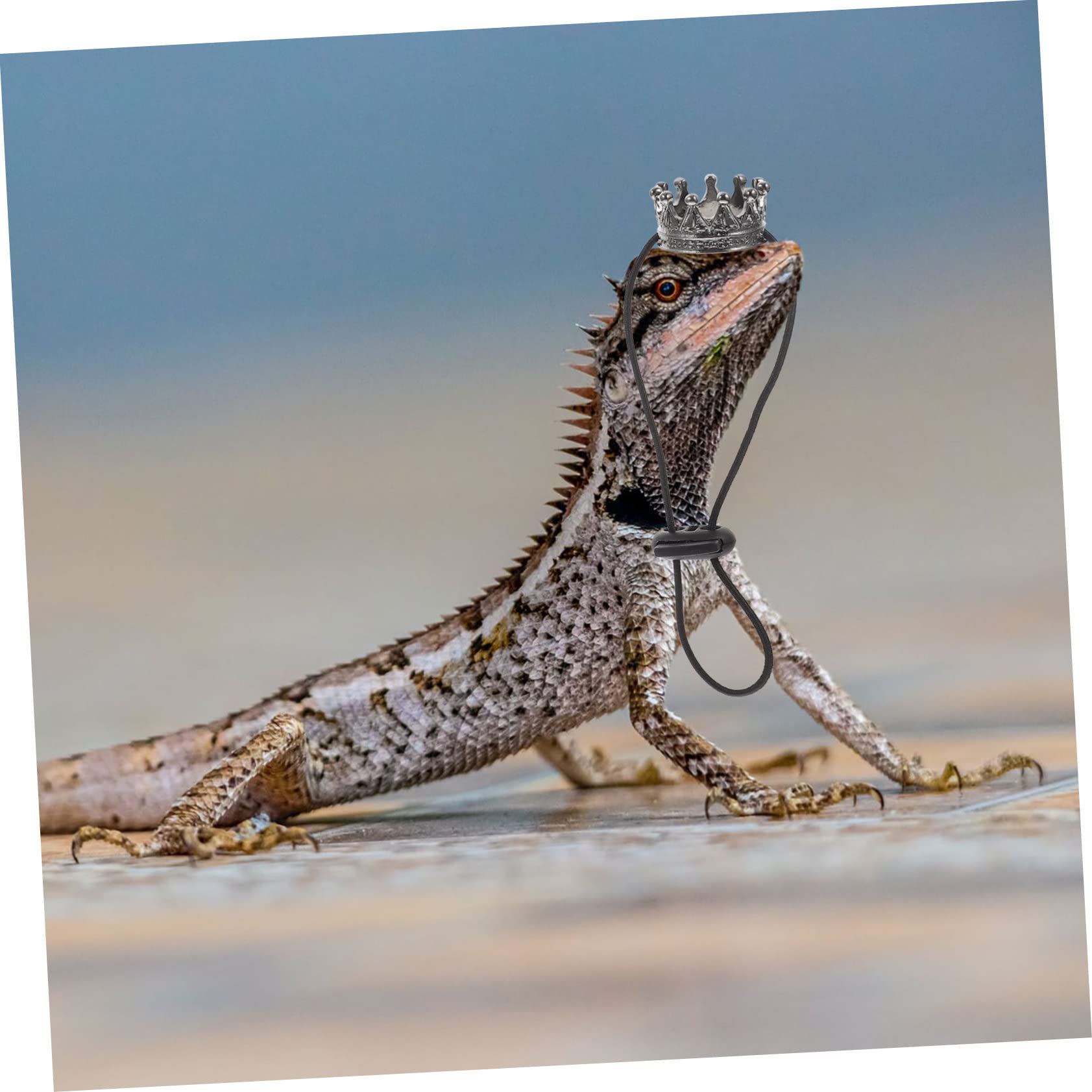 INOOMP 5sets Costumi Per Lizard Cosplay Corone e Collana Per Halloween Decorazioni Per Piccole Creature Accessori Per Rettili e Festive