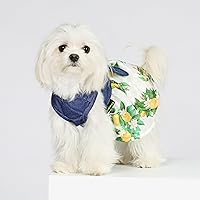 Vista 2 de Fitwarm Lemon - Vestido de mezclilla para perro, ropa para perros pequeños y niñas, traje de gato para mascotas, azul, blanco, amarillo, verde, XXS