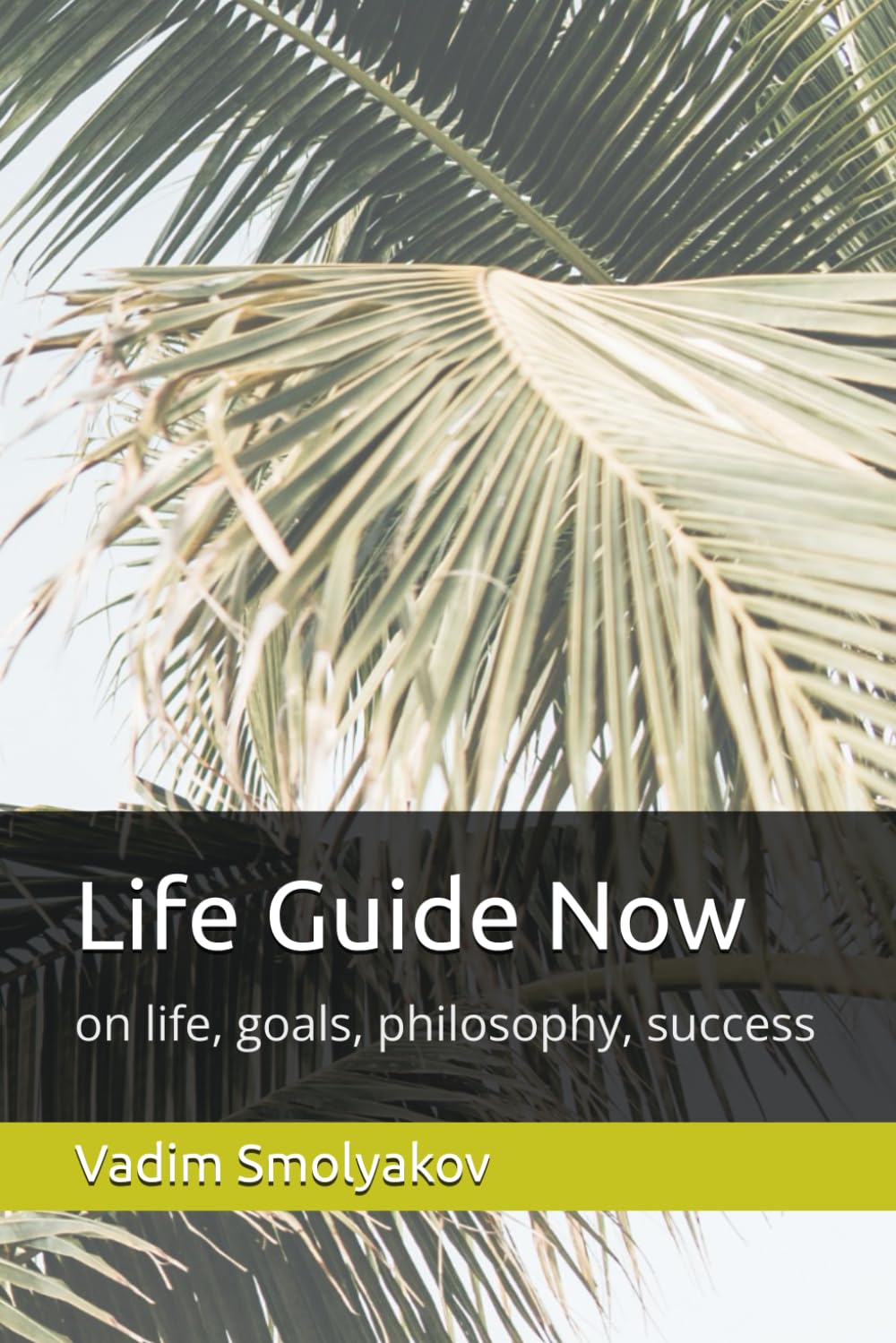 Life Guide Now: on life, goals, philosophy, success