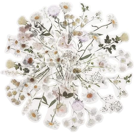 Amazon 12枚 手帳シール スクラップブックステッカー フラワーステッカー 装飾用ステッカー 注目の植物ステッカー 透明pet素材 スクラップブック 日記 写真アルバム Diyクラフトに使用 シール ステッカー 文房具 オフィス用品