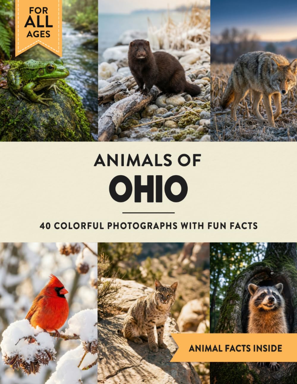 Animals of Ohio: Learn All About Buckeye State Wildlife in a Fun Fact Picture Book for Kids and Adults