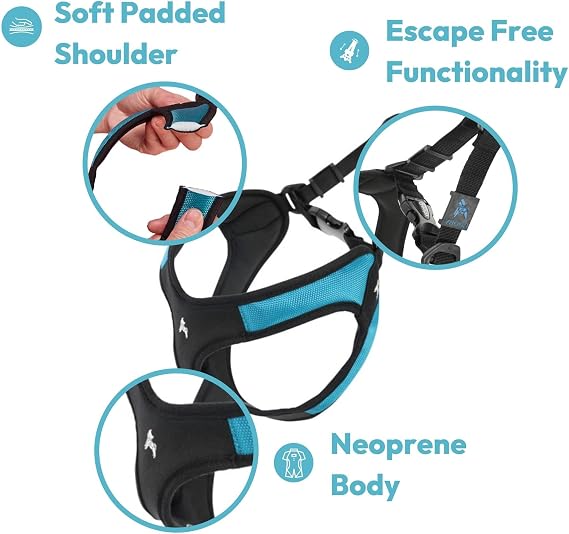 Gooby - Escape Free Easy Fit köpek koşum takımı, koşum takımlarından kaçmayı seven köpekler için küçük köpek koşum takımı, turuncu, beden L