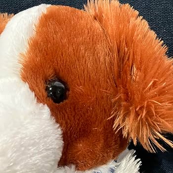 Amazon.co.jp: コーイケルホンディエ ウルトラBIG ぬいぐるみ