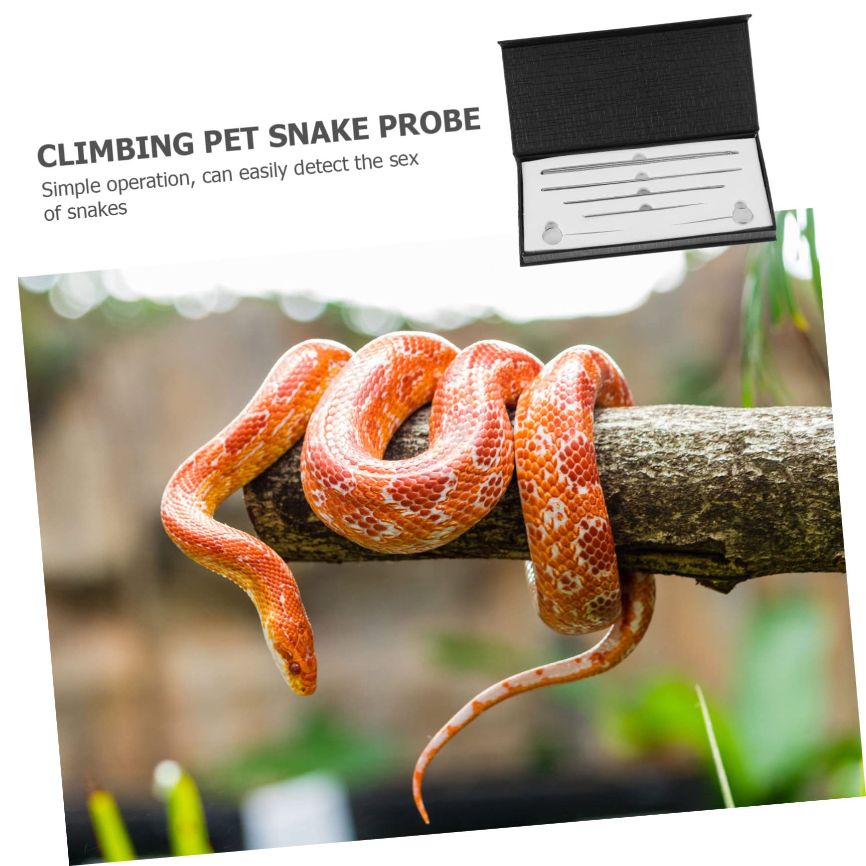 6 Pezzi per Sessaggio dei Rettili Kit Professionale per Serpente Strumento di Rilevamento in Acciaio Inossidabile Design Sfera Liscio Identifica Maschi e Femmine