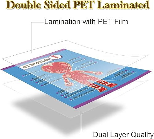 Miniatura 3 de Outus Carteles educativos de aprendizaje del cuerpo humano, parte del cuerpo, tabla de pared de 22 x 17 pulgadas para niños, tabla de anatomía de
