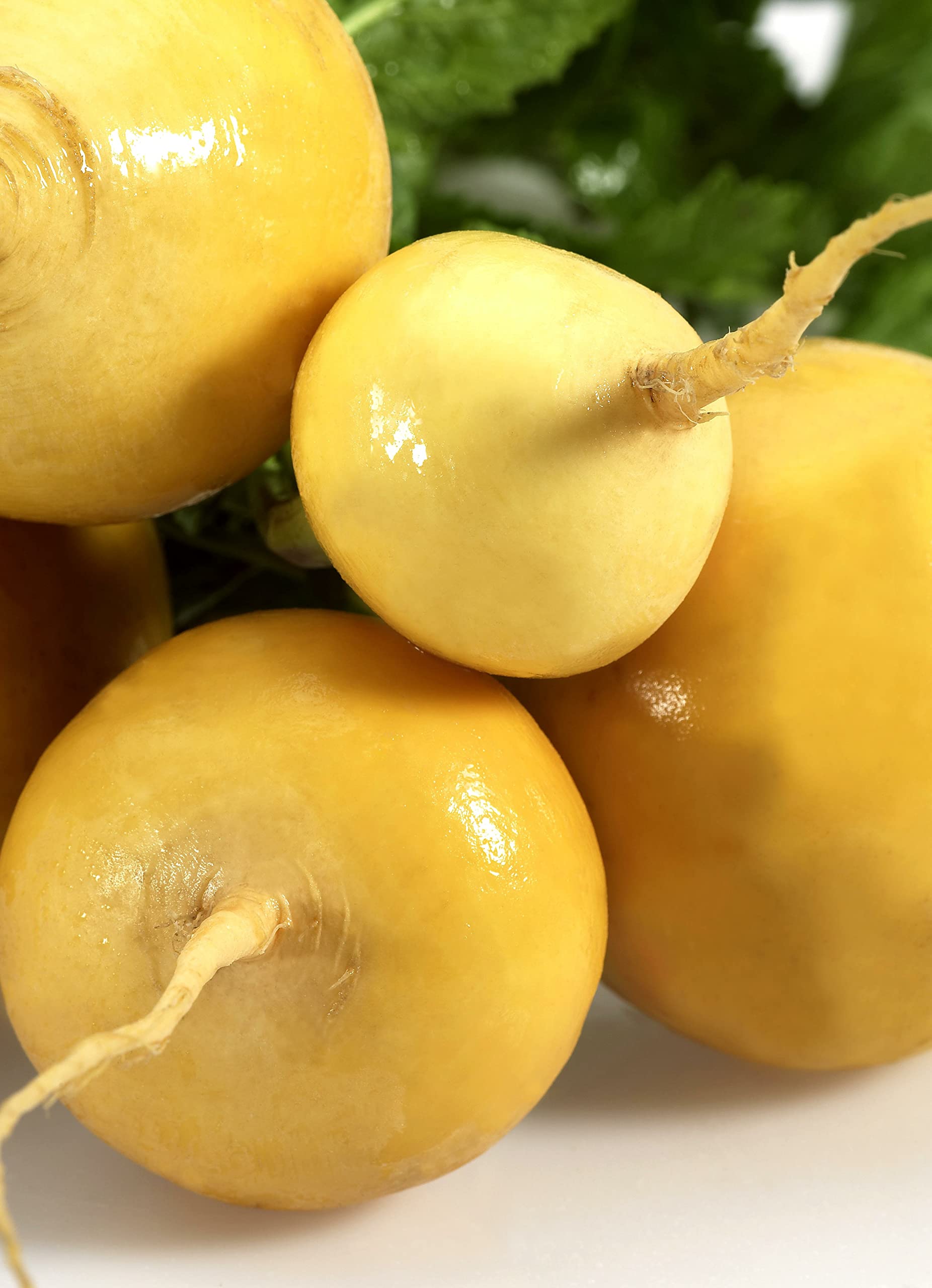 Seedeo Stoppelrbe Golden Ball (Brassica rapa rapa) ca. 200 Samen :  Amazon.de: Garten