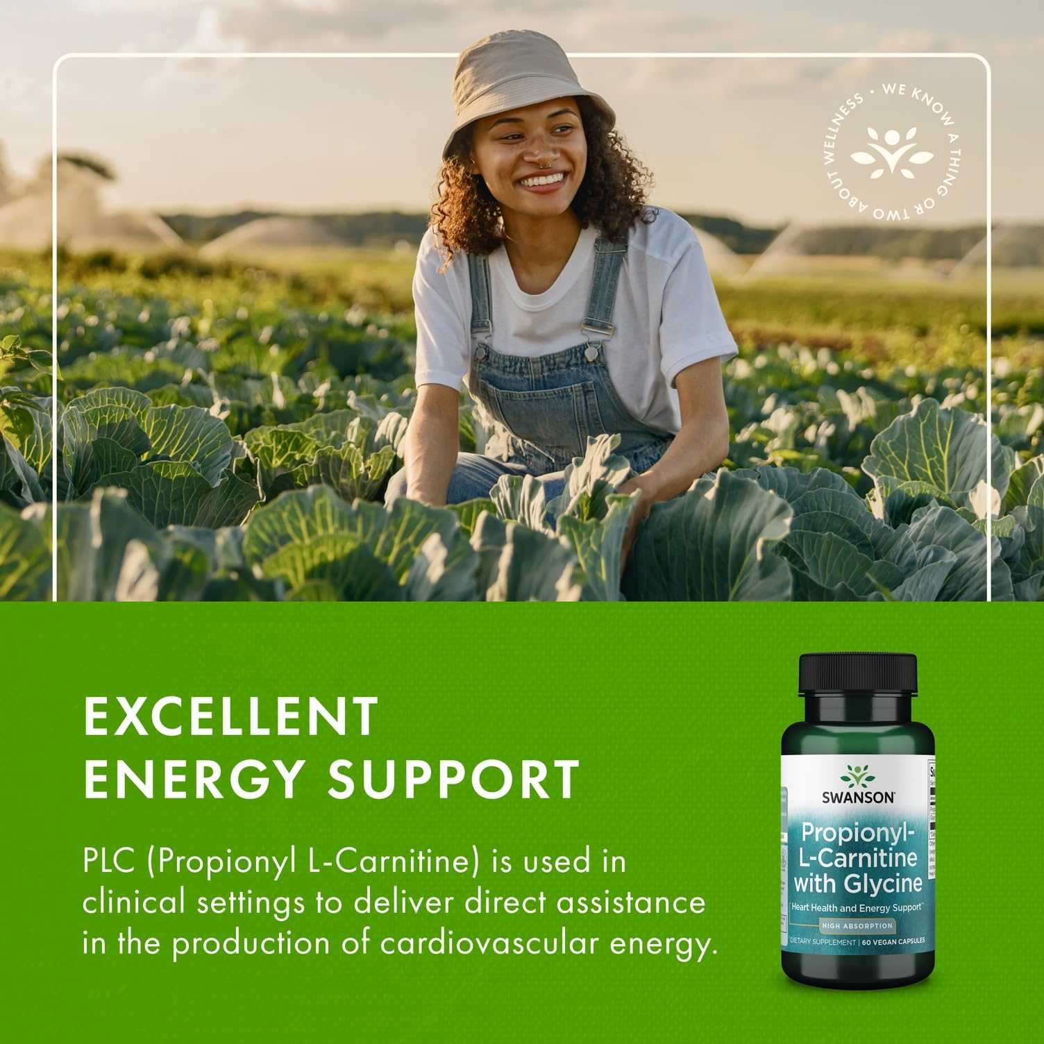 Amazon.com: Swanson Propionyl L-Carnitine with Glycine - Natural Supplement Promoting Heart Health & Energy Support - May Support Muscle Strength & Endurance - (60 Veggie Capsules) : Health & Household Amazon.com: Swanson Propionyl L-Carnitine with Glycine - Natural Supplement Promoting Heart Health & Energy Support - May Support Muscle Strength & Endurance - (60 Veggie Capsules) : Health & Household