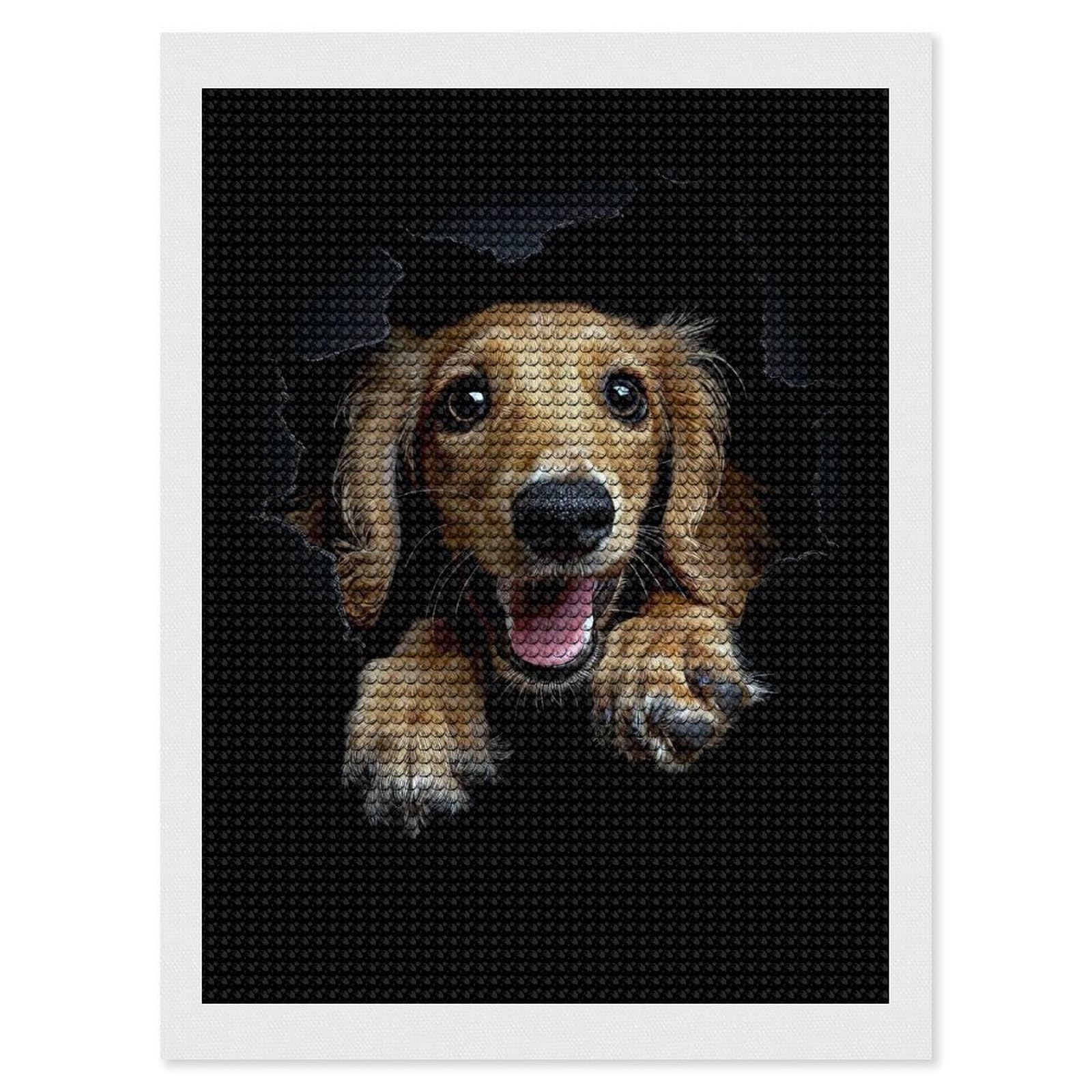 Junmoney Saluki Diamond Painting Canvas Kit 12"x16", Relaxing DIY, Modern Decor, Aesthetic Room Decor, Home Wall Art, Wall Art Gift