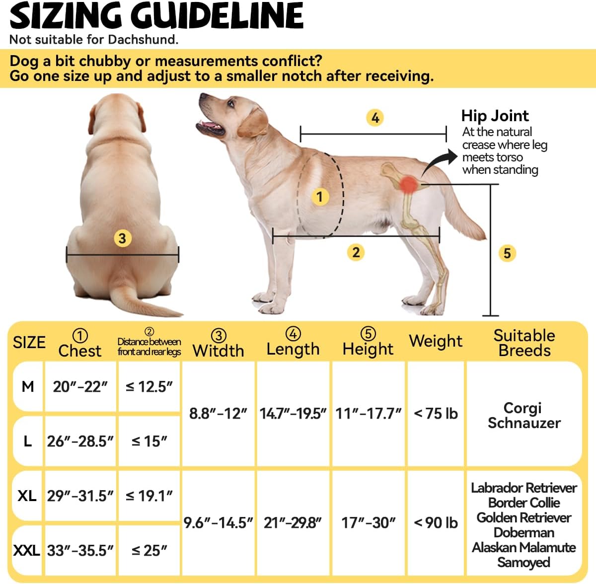Dog Wheelchair Sizing Guideline Chart